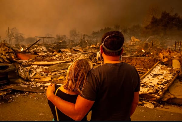 A coupe looks upon a charred landscape during the Los Angeles County fires of 2025.